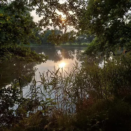 Am Buergerteich Lejlighed