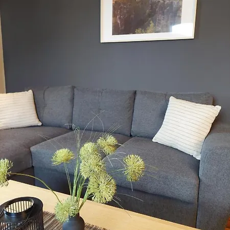 公寓 Am Buergerteich 比绍夫斯韦尔达