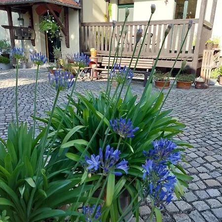 Am Buergerteich Apartman